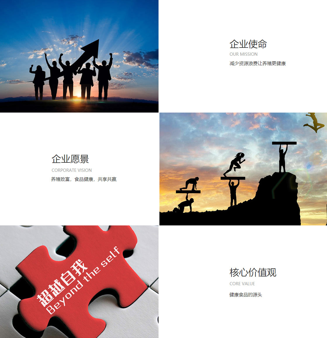云顶国际集团游戏官网(图1)